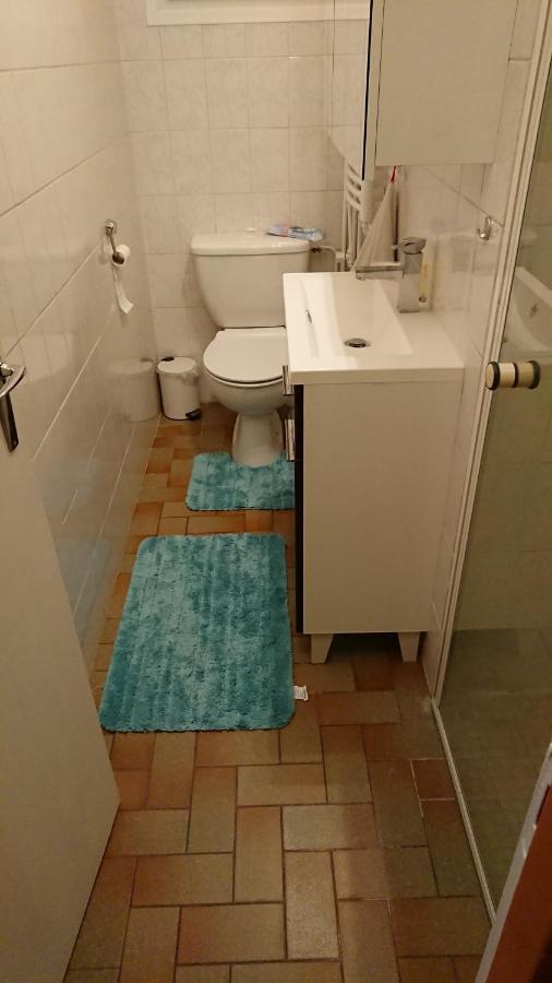 Oldani Apartamento Antran Exterior foto
